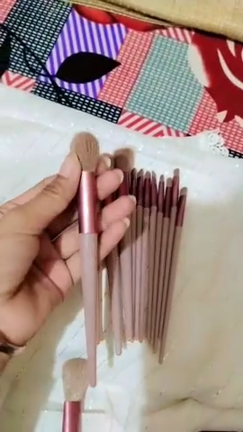 Super Quality Makeup brush set of 13pcs with beautyful pouch
